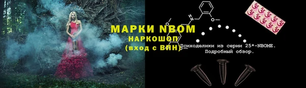 прущие грибы Алексеевка