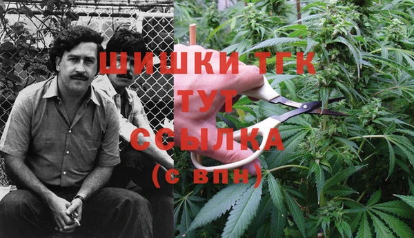 каннабис Алзамай