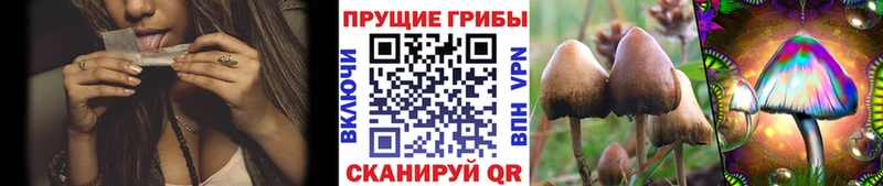 Галлюциногенные грибы прущие грибы наркотики Нижнеудинск