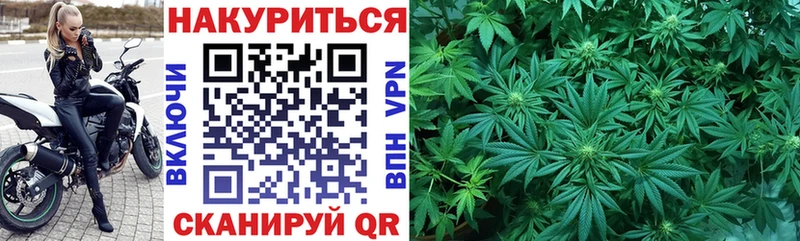 Канабис гибрид  где купить   Нижнеудинск 